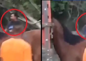 Vídeo flagra homem batendo em cavalo após perder corrida no Piauí